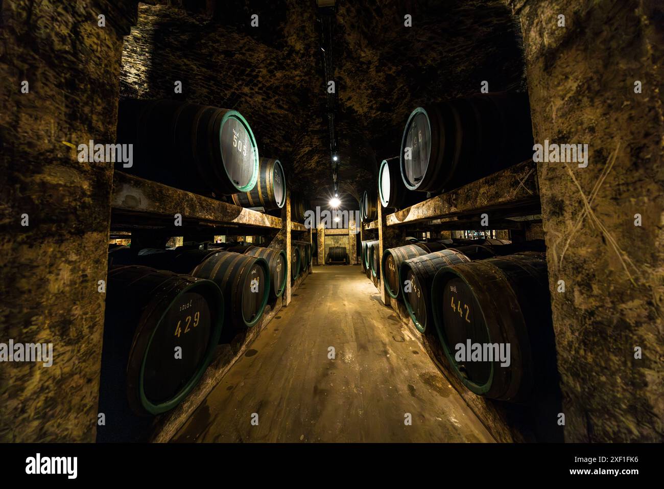 Grandi botti di vino, ciascuno contrassegnato con il proprio numero, fiancheggiano un passaggio a volta nel Ratskeller di Brema. La cantina del vino, vecchia di oltre 600 anni, situata sotto il municipio di Brema, conserva esclusivamente vini tedeschi. Brema, Germania. Foto Stock