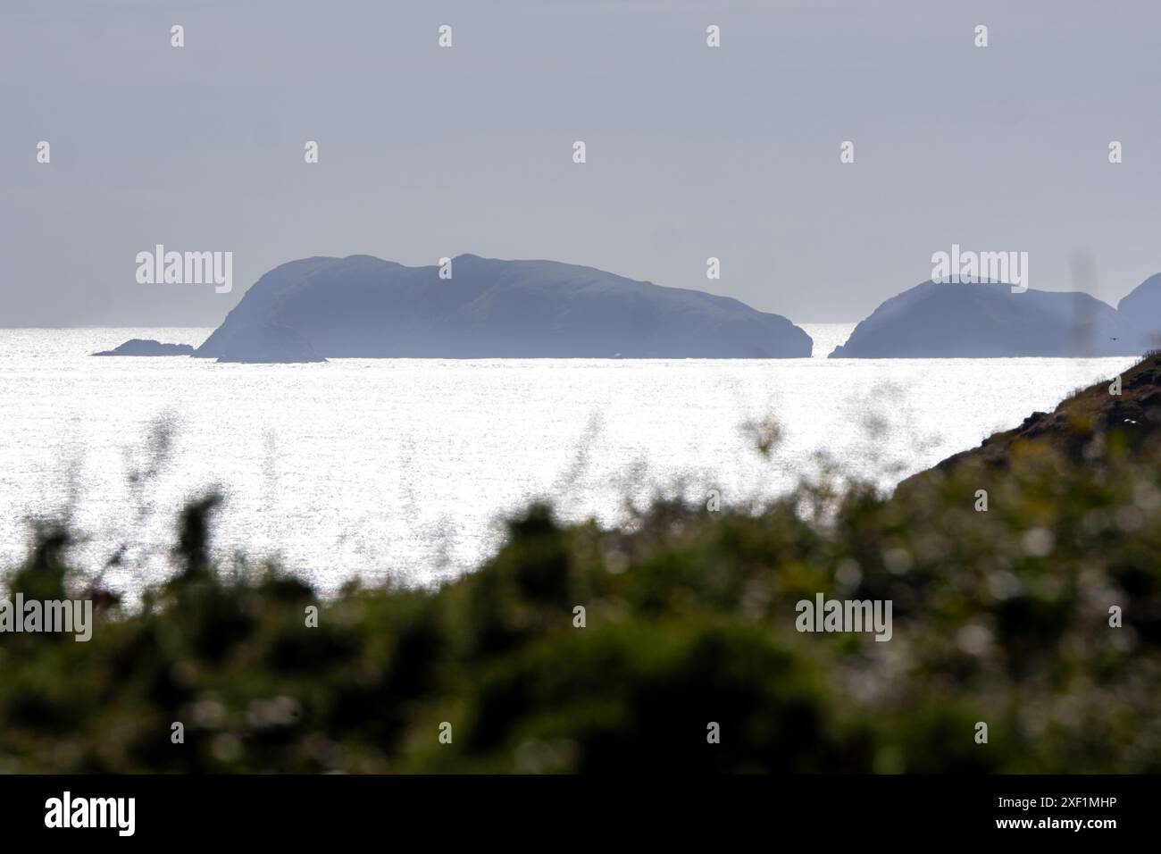 Isole al largo del Pembrokeshire, dove si teme che gli uccelli nidificanti siano in pericolo dal nuovo sistema radar DARC. Una nuova campagna che si chiama PARC Against DARC ha annunciato il suo lancio ufficiale il 29 maggio presso Solva Memorial Hall, con l’obiettivo di fermare i piani dei militari britannici/statunitensi di creare un piatto del 27 «Deep Space Advanced radar Concept» - stazione radar ad alta potenza «DARC» a Cawdor Barracks, Brawdy, Pembrokeshire, nel cuore della penisola di St. Davids. Nell'ambito di "AUKUS" - il patto di sicurezza a tre vie tra Australia, Regno Unito e Stati Uniti - i piani militari sono di costruire tre radar DARC i Foto Stock