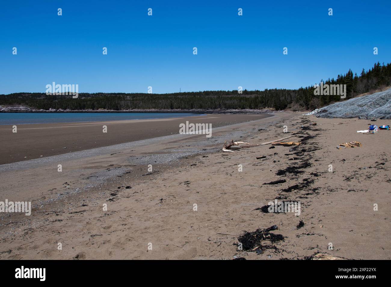 Vista della baia di Fundy da Mispec Beach a Saint John, New Brunswick, Canada Foto Stock