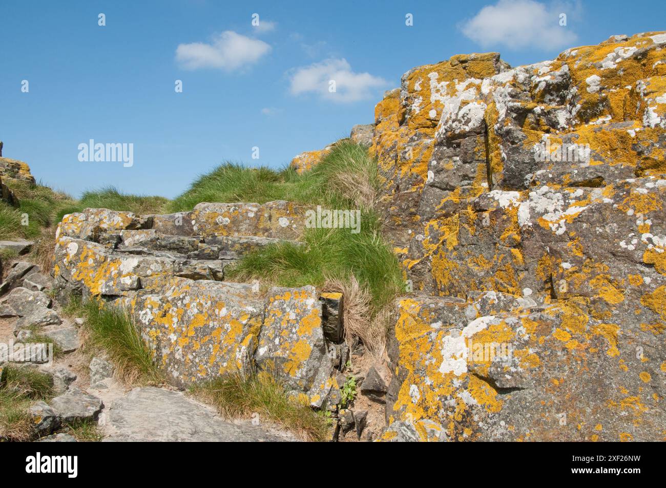 Rocce con depositi di ferro, Marazion, Cornovaglia, Regno Unito Foto Stock
