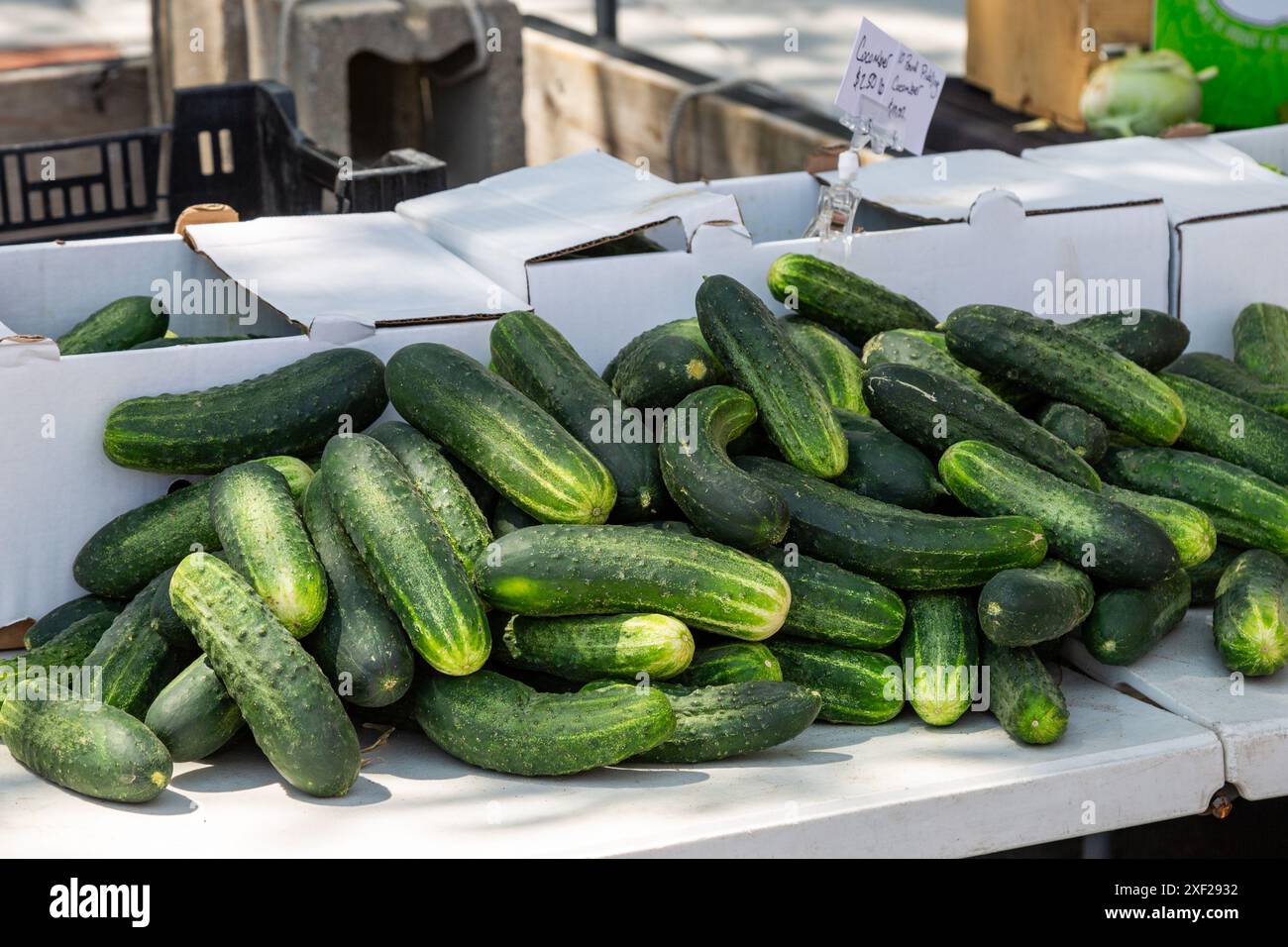 Cetrioli in vendita al mercato agricolo YLNI di Fort Wayne, Indiana, USA. Foto Stock