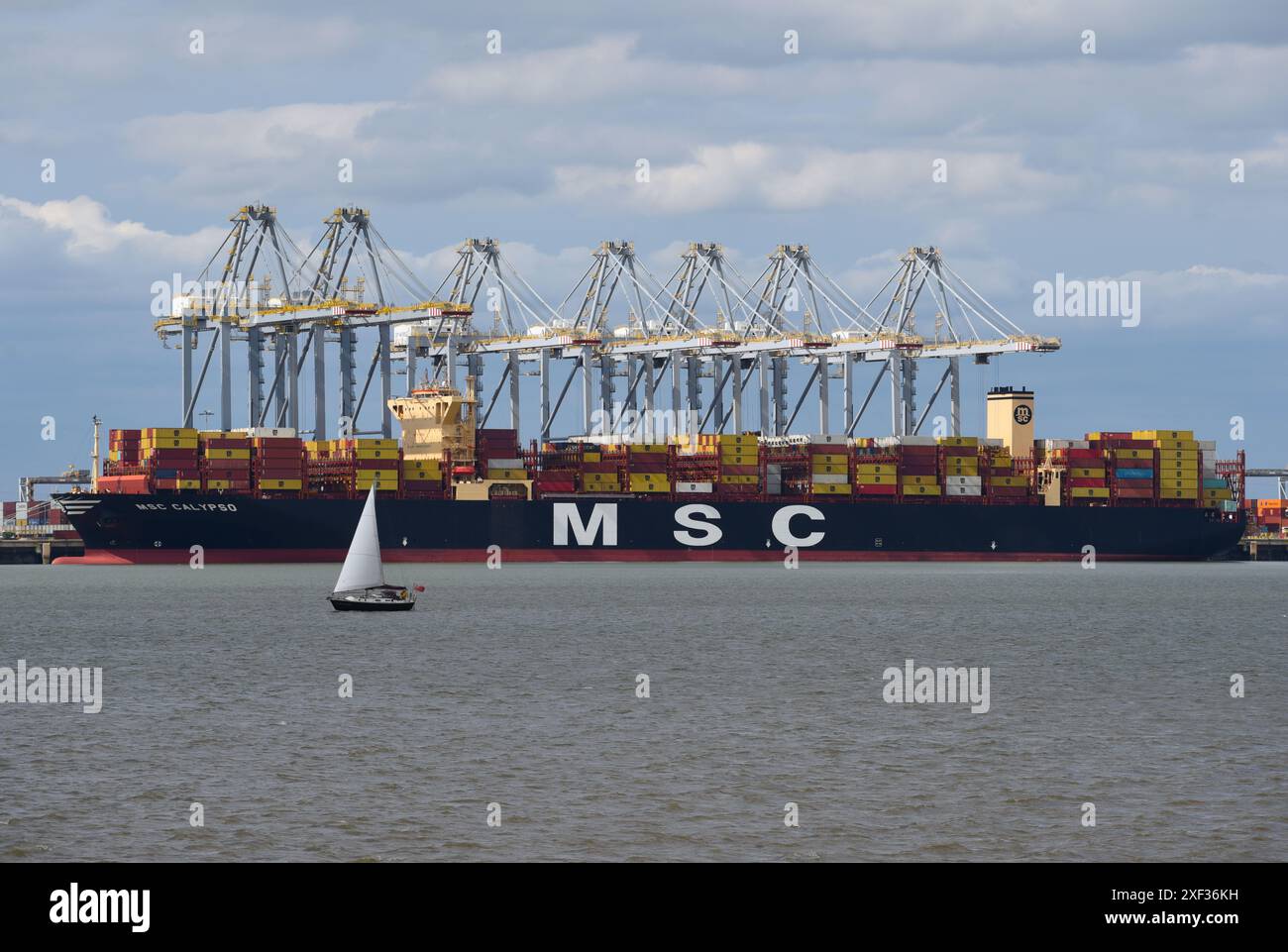 Colossale Containership MSC Calypso che scarica il suo carico al DP World London Gateway Port nell'estuario del Tamigi. Foto Stock