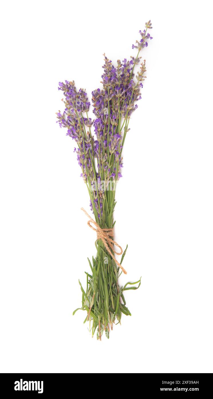 Immagine ravvicinata di un bouquet legato di fiori freschi di lavanda, isolato su sfondo bianco. Foto Stock