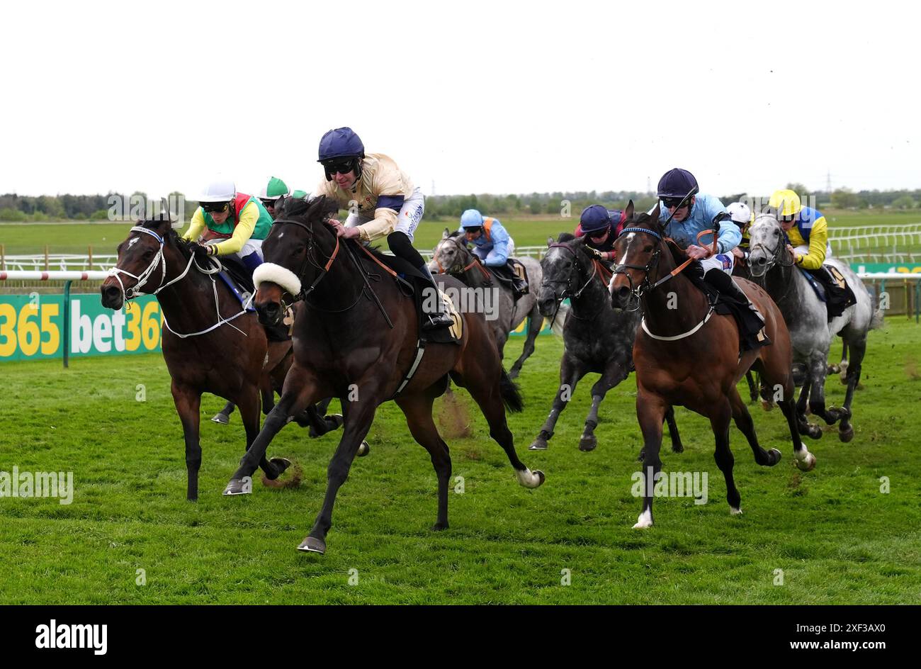 Foto del file datata 18-04-2024 di Washington Heights, che tornerà a cinque furlongs e tenterà di scalare la vetta dei ranghi sprinting nella Coolmore Wootton Bassett Nunthorpe Stakes a York più tardi quest'estate. Data di pubblicazione: Lunedì 1 luglio 2024. Foto Stock