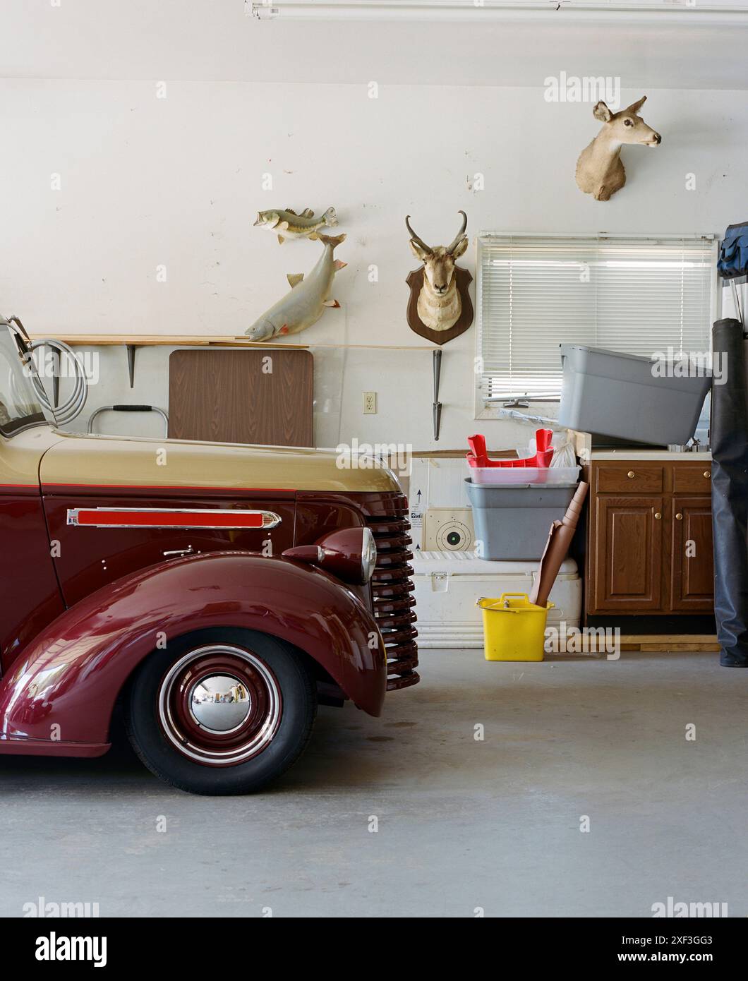 Trofei di caccia sul muro di un garage Foto Stock