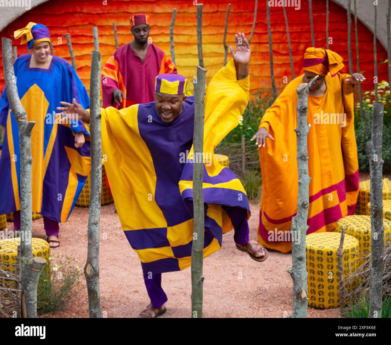 Richmond upon Thames, Londra, Regno Unito. Il più grande spettacolo di fiori al mondo, l'RHS Hampton Court Palace Garden Festival apre il 2-7 luglio 2024. Immagine: Il Giardino dell'anniversario del Re Leone progettato da Juliet Sargeant è stato creato per celebrare il 25° anniversario del Re Leone di Disney a Londra. I membri del cast dello spettacolo del West End si esibiscono in costume sul giardino. Crediti: Malcolm Park/Alamy Live News Foto Stock