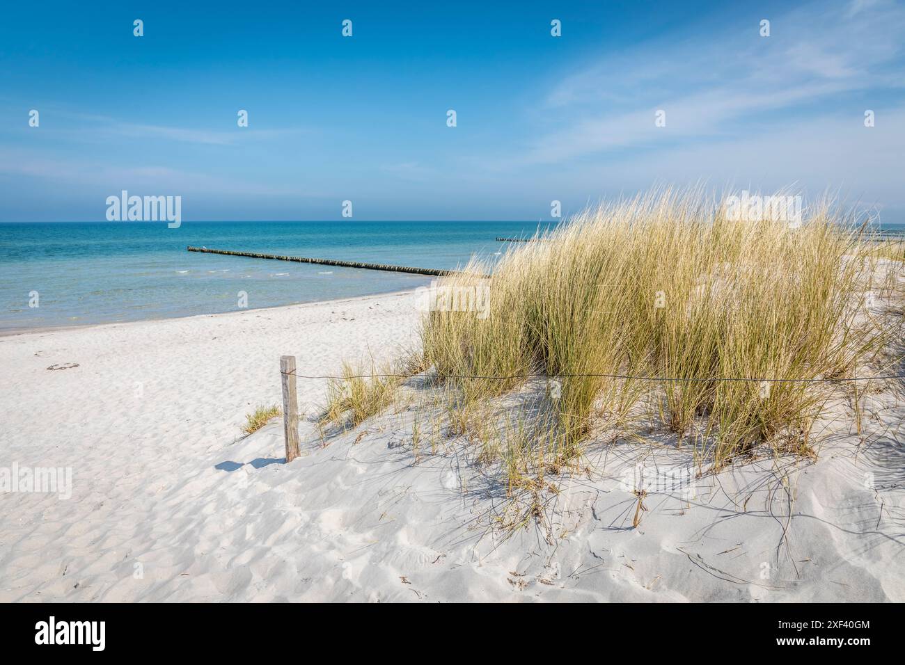 Geografia / viaggi, Germania, Meclemburgo-Pomerania occidentale, erba e dune vicino a Prerow, ULTERIORI-DIRITTI-AUTORIZZAZIONE-INFO-NON-DISPONIBILI Foto Stock