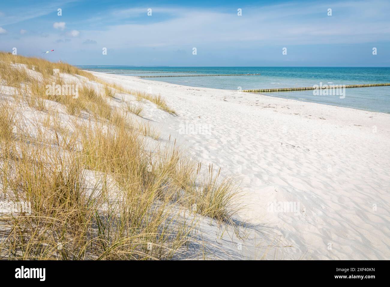 Geografia / viaggi, Germania, Meclemburgo-Pomerania occidentale, erba e dune vicino a Prerow, ULTERIORI-DIRITTI-AUTORIZZAZIONE-INFO-NON-DISPONIBILI Foto Stock