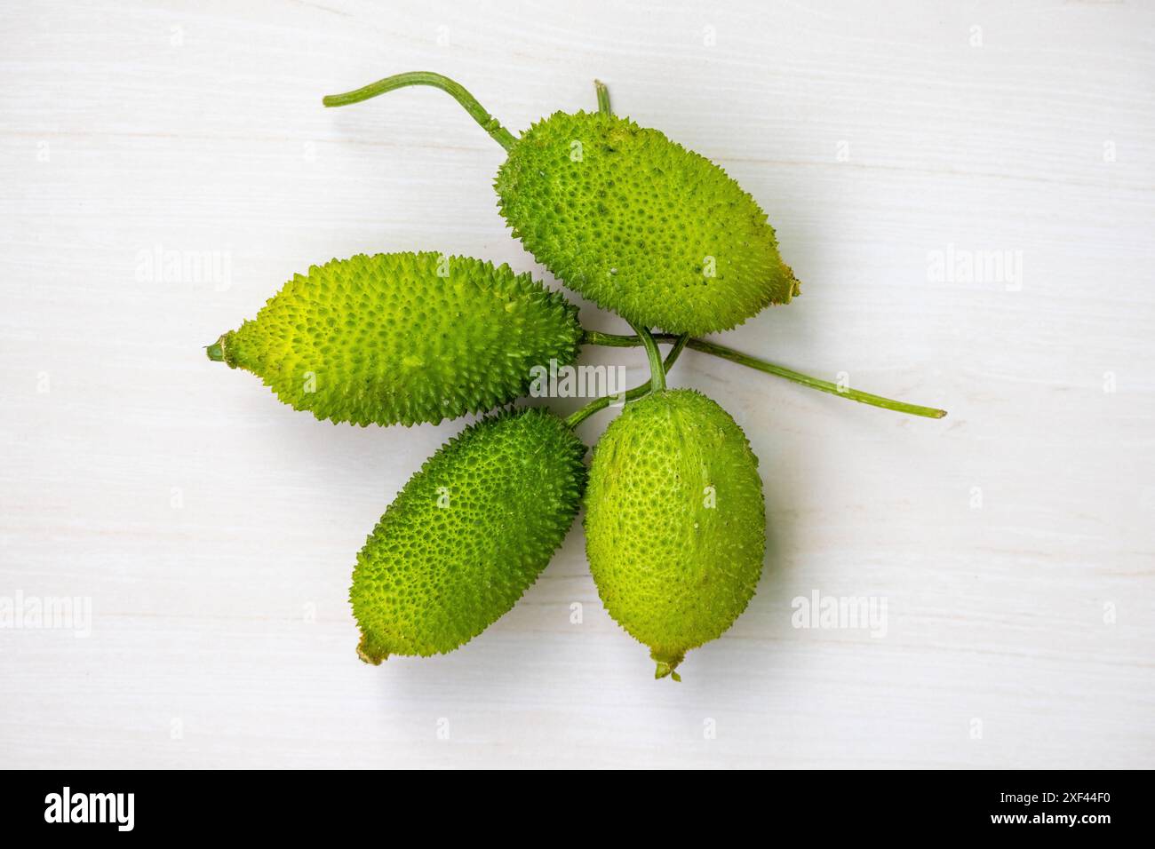 Verdura verde spinosa fresca su fondo in legno. Momordica dioica è anche conosciuta come Kakrol, Kartoli, Kankoda, Kantola. Vista dall'alto. Foto Stock