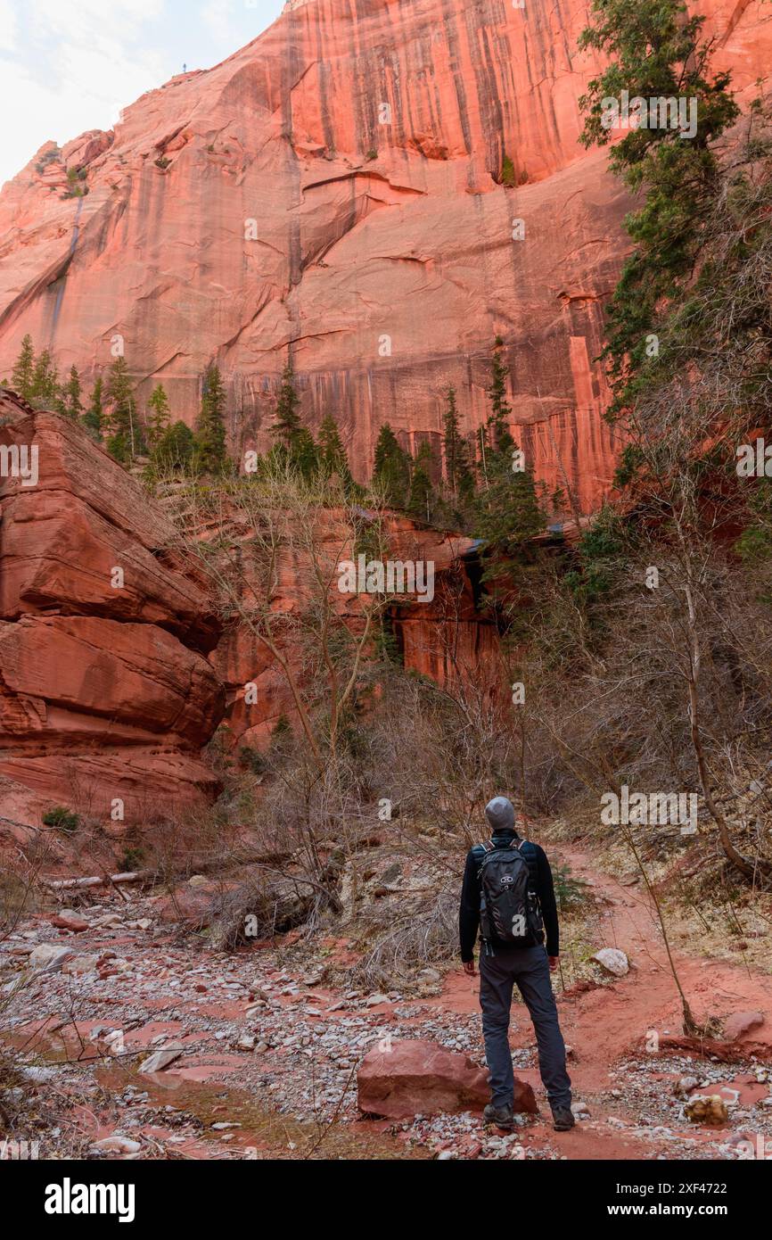 Escursionista maschile in piedi in soggezione delle torreggianti formazioni di roccia rossa dei Kolob Canyons nel Parco Nazionale di Zion, Utah. Foto Stock