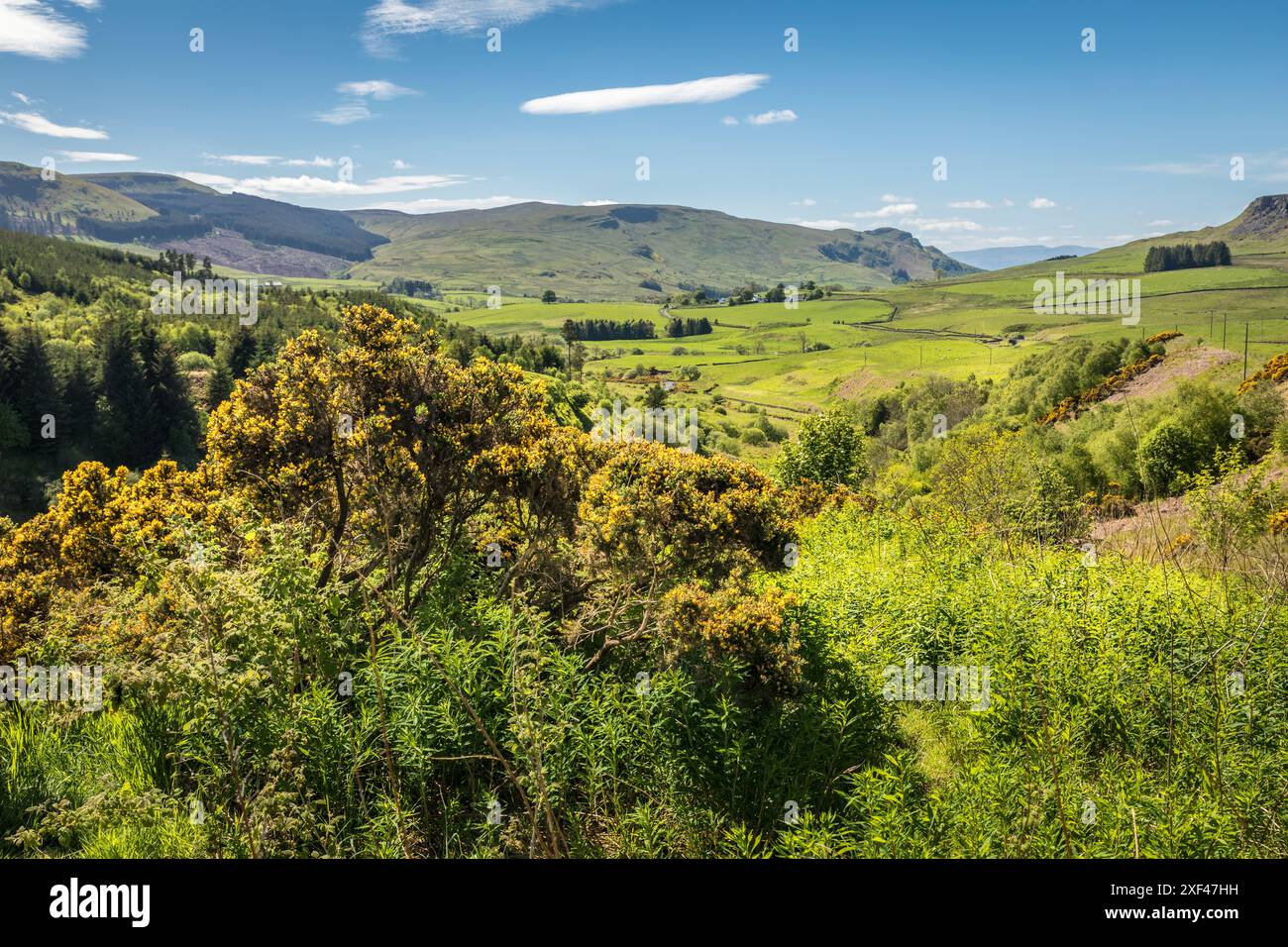 Geografia / viaggi, Gran Bretagna, Scozia, Fintry Hills vicino al villaggio Fintry, ULTERIORI-DIRITTI-CLEARANCE-INFO-NON-DISPONIBILI Foto Stock