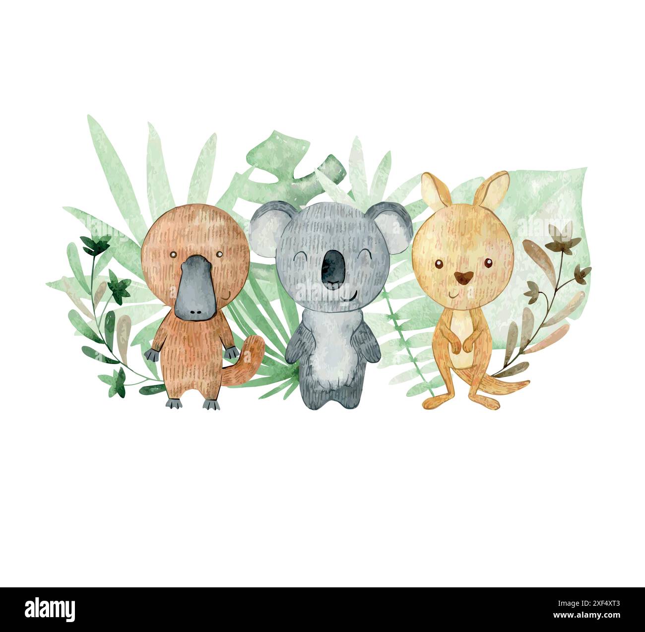 Arrangiamenti di acquerelli vettoriali con animali australiani. Composizione del biglietto d'auguri e così via Illustrazione Vettoriale