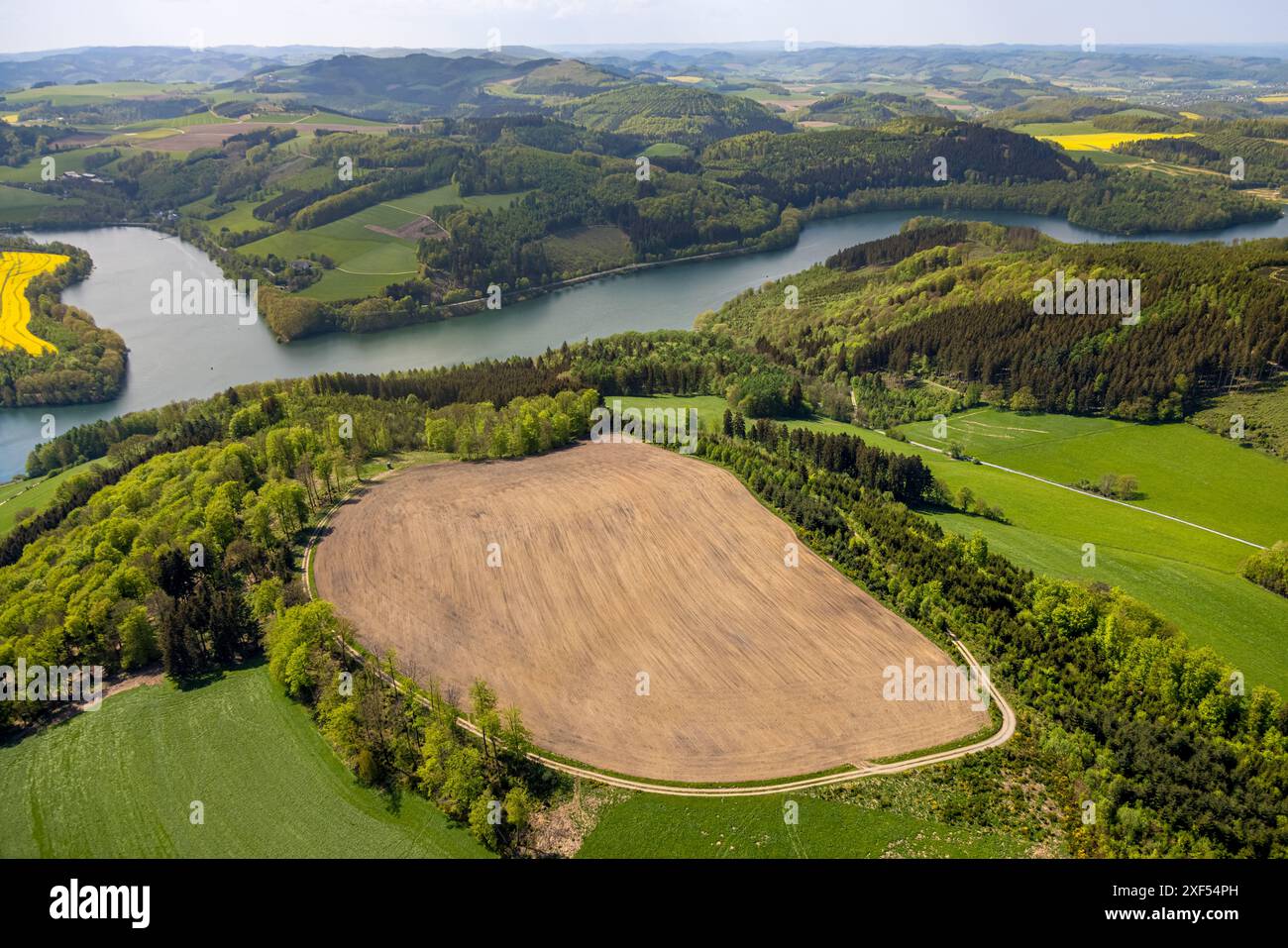 Vista aerea, Hennesee, prati e campi e paesaggio boschivo naturale, Berghausen, Meschede, Sauerland, Renania settentrionale-Vestfalia, Germania, foto aerea Foto Stock