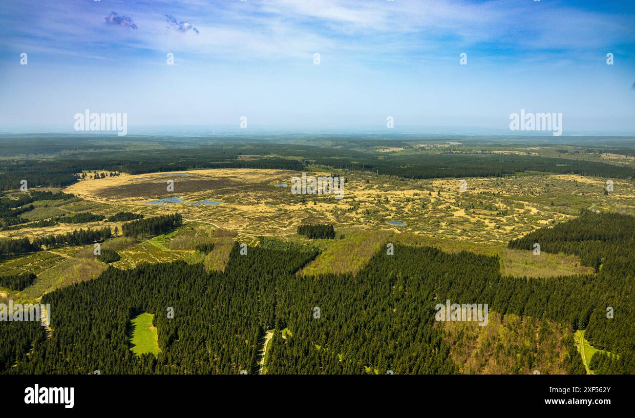 Vista aerea, Parco naturale High Fens Eifel, altopiano vicino all'area di conservazione del paesaggio di Mützenich, prati e campi dell'altopiano di Fens, complesso brughiera, bord Foto Stock