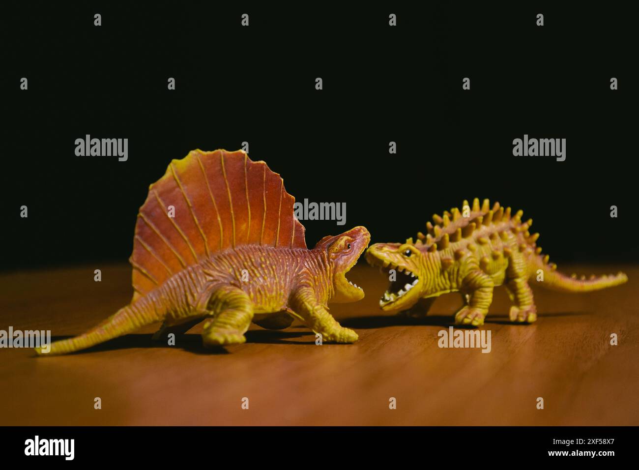 Due figure di dinosauri aggressivi si trovano l'una di fronte all'altra su un tavolo marrone su uno sfondo scuro Foto Stock