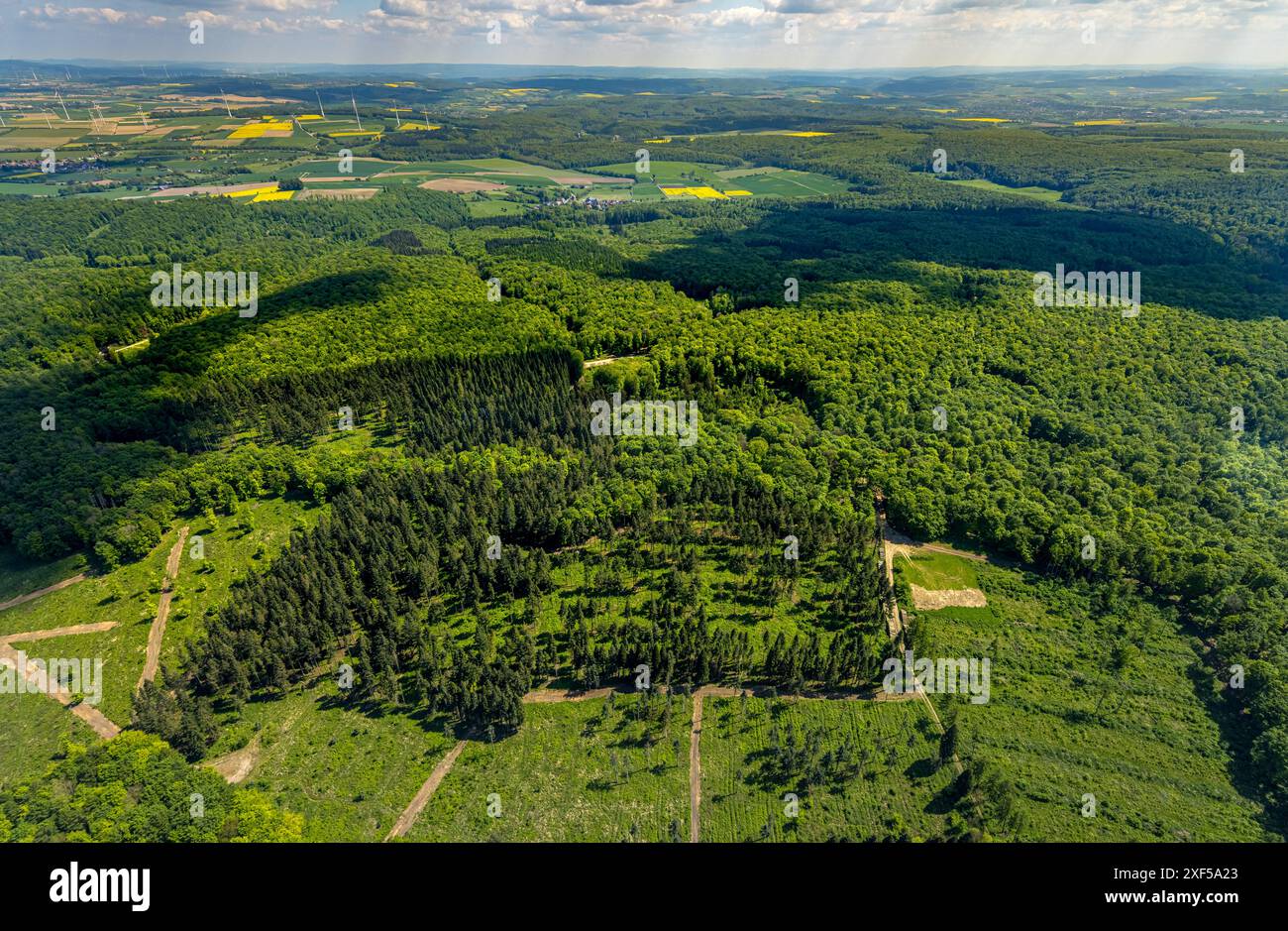 Vista aerea, riserva naturale Hinnenburger Forst con Emder Bachtal, area forestale con prati e campi, vista distante con cielo blu e nuvole, Pömbsen Foto Stock