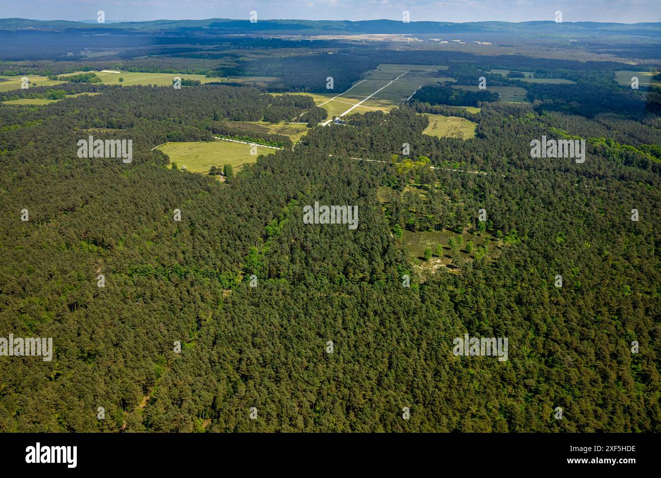 Vista aerea, riserva naturale Moosheide a Senne, area boschiva brughiera a Steinweg, vista distante, area escursionistica, Hövelhof, Vestfalia orientale, nord Foto Stock