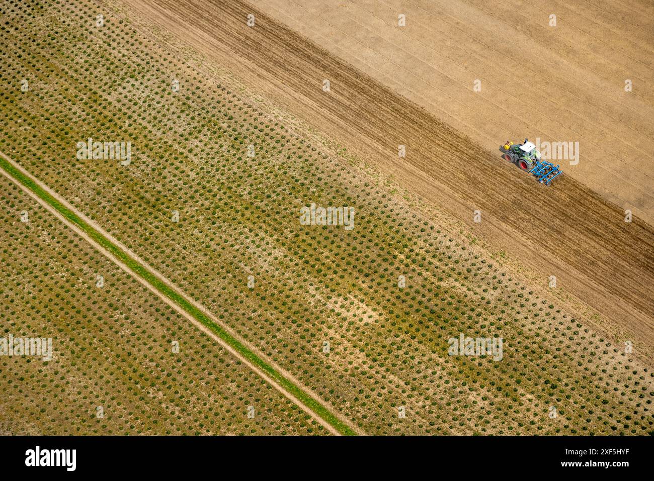 Vista aerea, trattore su un'area agricola con lavori sul campo, forme e colori, Friburgo, Schmallenberg, Sauerland, Renania settentrionale-Vestfalia, Germania, Foto Stock