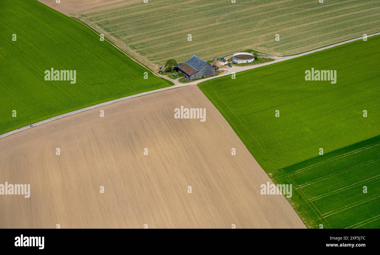 Vista aerea, prati e campi, strutture geometriche piastrellate, trattore e impianto agricolo Winkhausen, Schmallenberg, Sauerland, Renania settentrionale-Vestfale Foto Stock