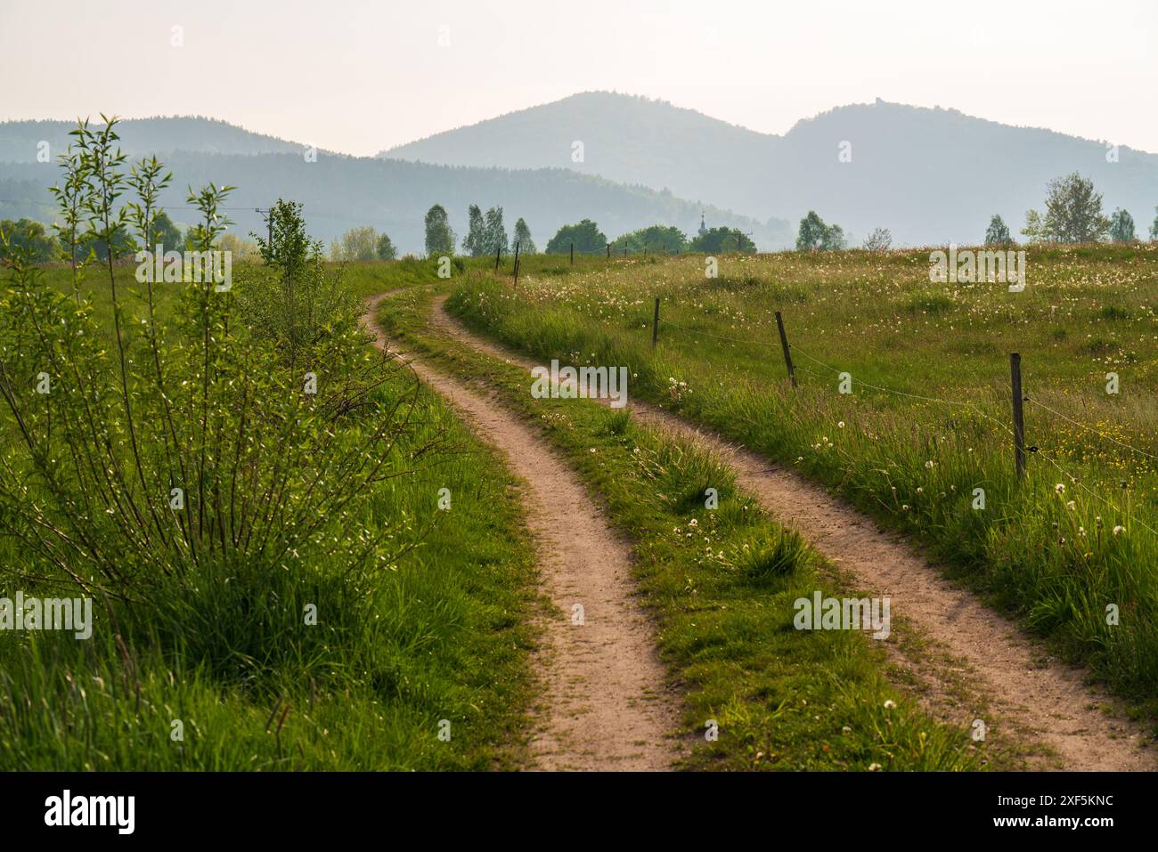 Strada di campagna tra verdi pascoli recintati, paesaggio di terreni agricoli con lussureggiante erba verde. Alte montagne all'orizzonte Foto Stock