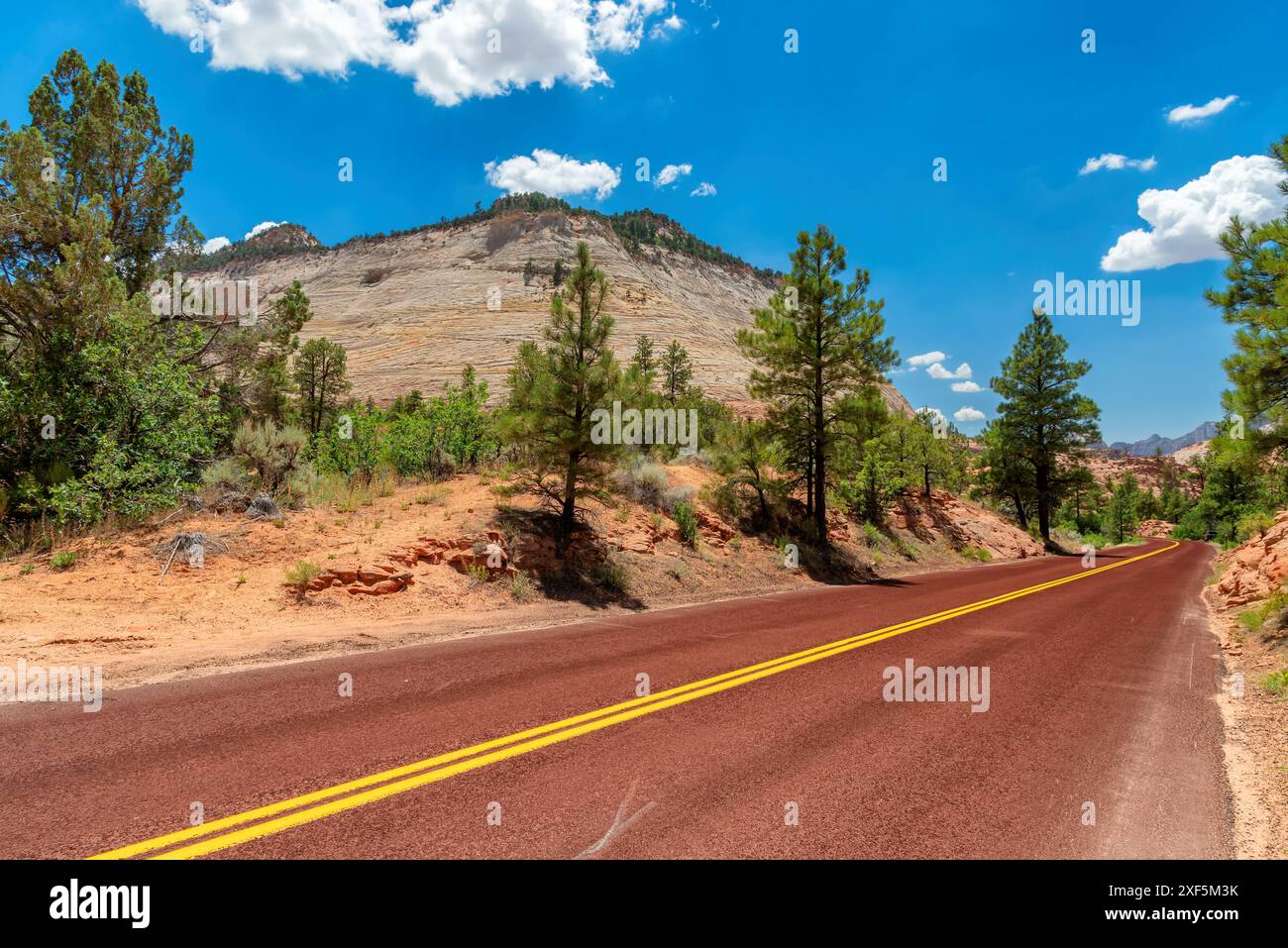 Viaggio panoramico in montagna nello Zion National Park, Utah, Stati Uniti Foto Stock