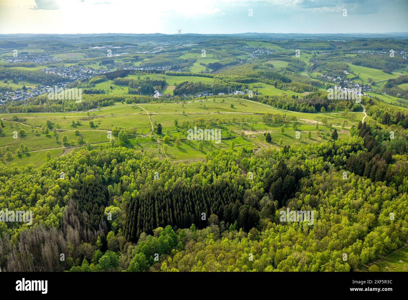 Vista aerea, Trupbacher Heide, verde paesaggio collinare, brughiere e area di conservazione del paesaggio erboso povero di nutrienti, vista distante, Alchen, Freudenber Foto Stock