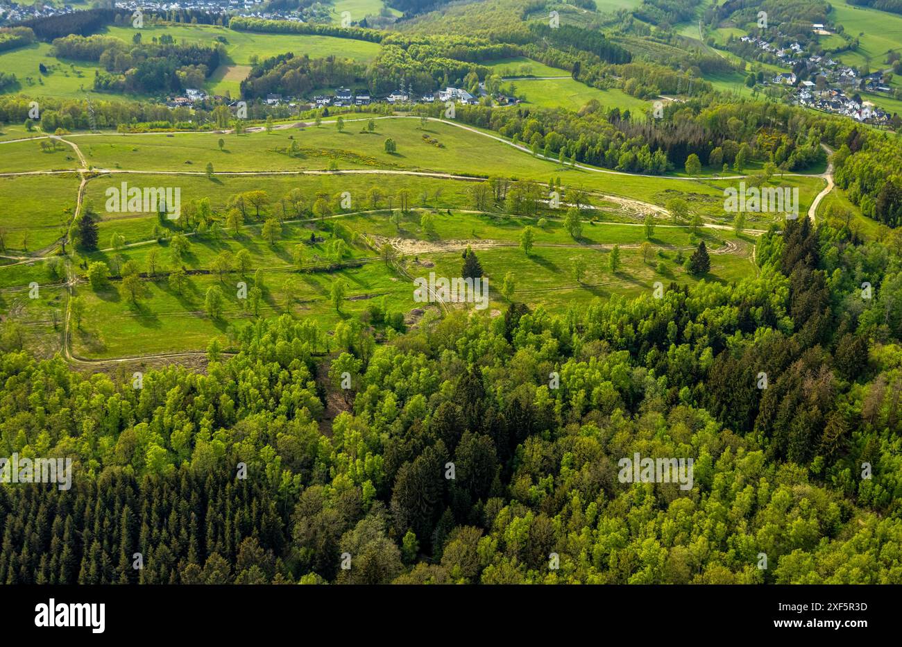 Vista aerea, Trupbacher Heide, verde paesaggio collinare, brughiere e area di conservazione del paesaggio prato povero di nutrienti, Alchen, Freudenberg, Siegerland, Foto Stock