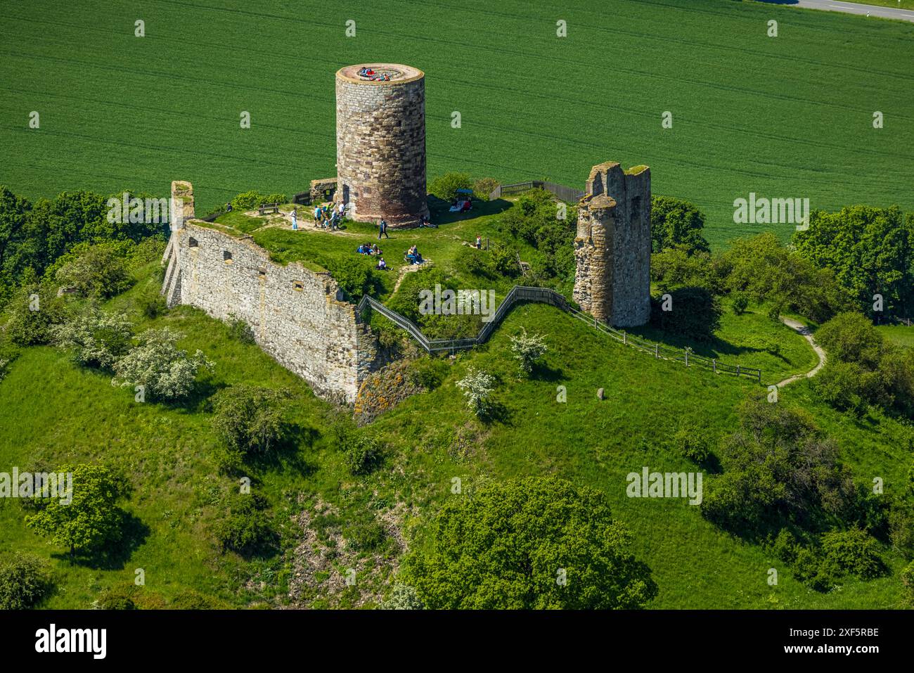 Vista aerea, castello di Desenberg su un cono vulcanico, vista storica, rovine di un castello in cima a una collina nel Warburg Börde, visitatori sulla piattaforma panoramica, Foto Stock