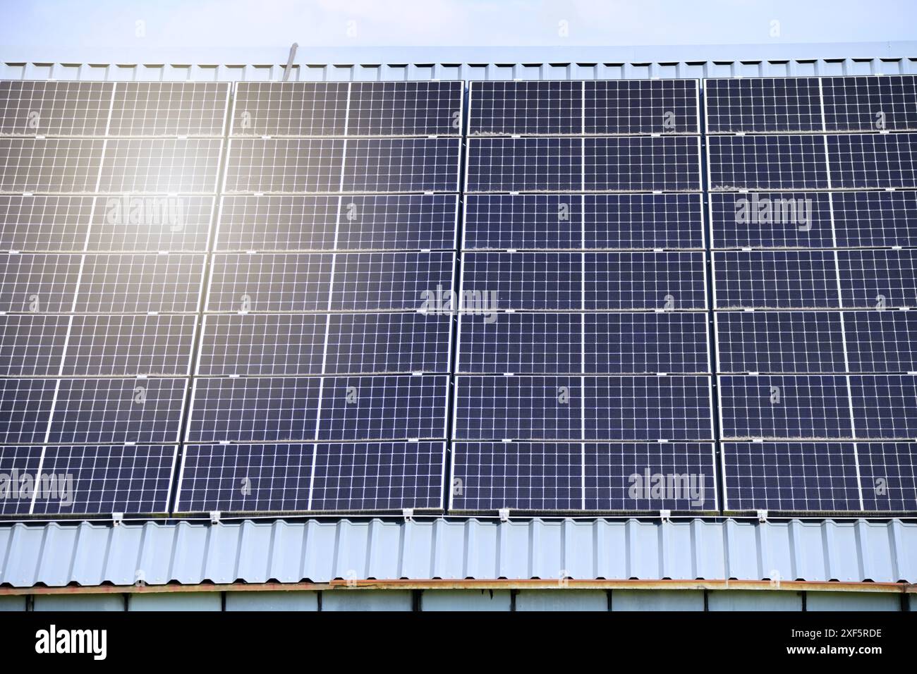 Pannelli solari sul tetto di una serra Foto Stock