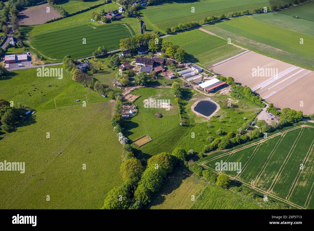 Vista aerea, Demeter Hof Sackern, fattoria biologica, Albringhauser Straße, prati e campi, Esborn, Wetter, regione della Ruhr, Renania settentrionale-Vestfalia, Germania, Foto Stock