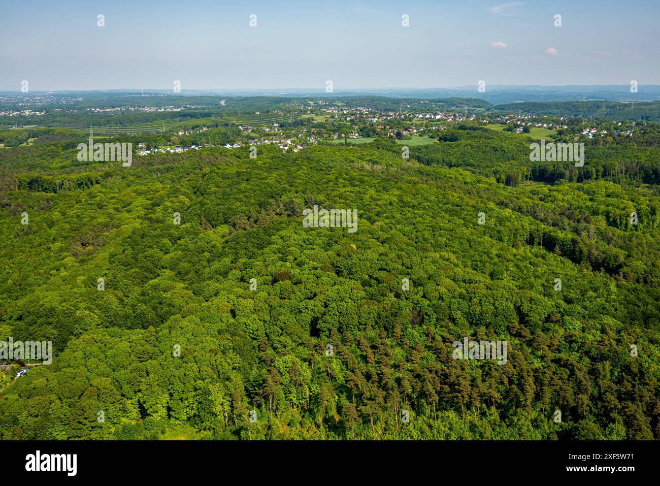 Vista aerea, area forestale di Ardeygebirge Borbachwald, Rüdinghausen, Witten, zona della Ruhr, Renania settentrionale-Vestfalia, Germania, foto aerea, Monti Ardey, Fo Foto Stock