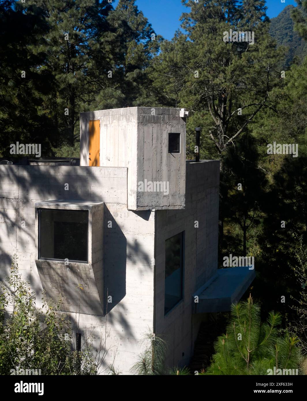 Facciata in cemento nella pineta. Casa Alférez, n/a, Messico. Architetto: Ludwig Godefroy, 2023. Foto Stock
