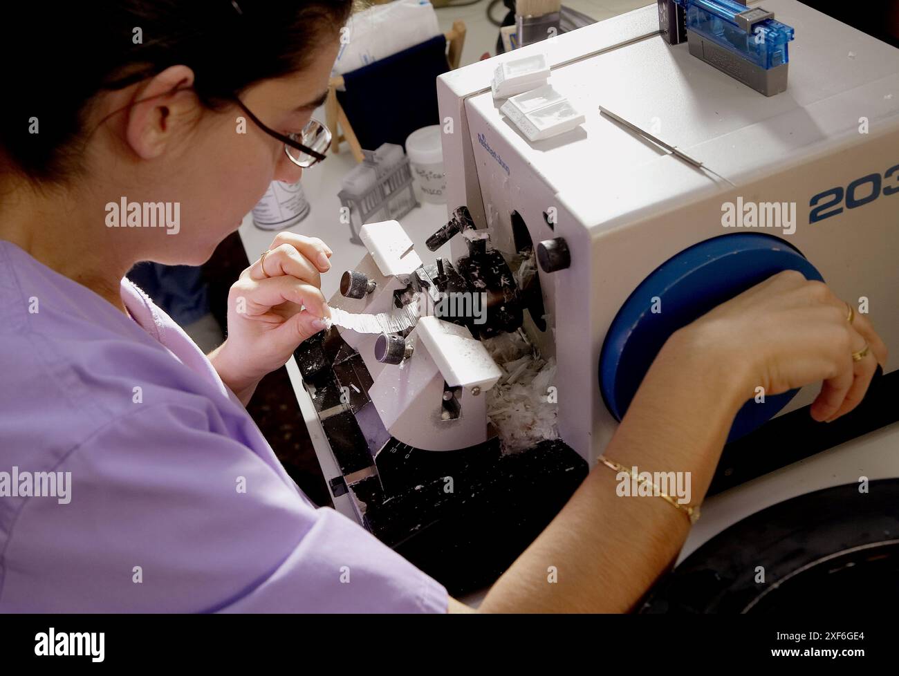 Microtomo, anatomia patologica. Hospital de Zumarraga, Gipuzkoa, Euskadi, Spagna Foto Stock