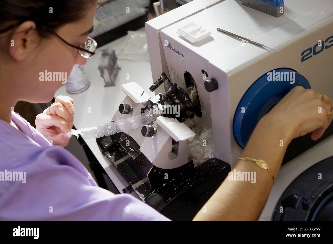 Microtomo, anatomia patologica. Hospital de Zumarraga, Gipuzkoa, Euskadi, Spagna Foto Stock