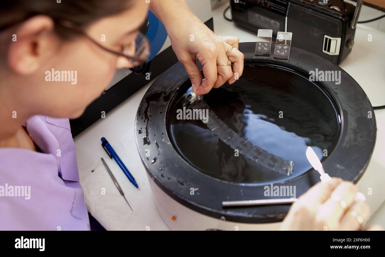 Microtomo, anatomia patologica. Hospital de Zumarraga, Gipuzkoa, Euskadi, Spagna Foto Stock