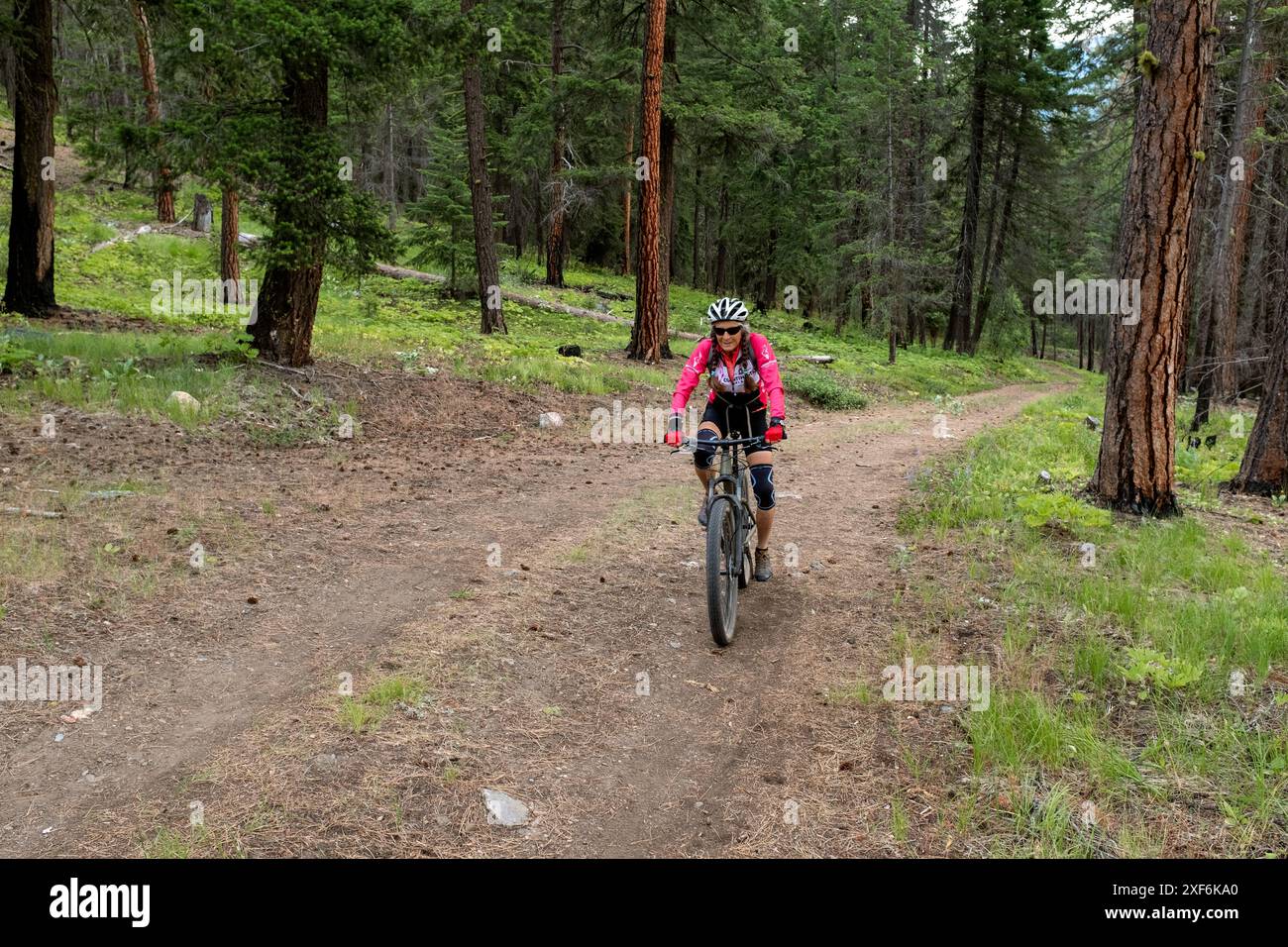 WA24942-00-....WASHINGTON - Vicky Spring mountain bike strade forestali vicino a Mazama nella Methow Valley. MR#S1 Foto Stock