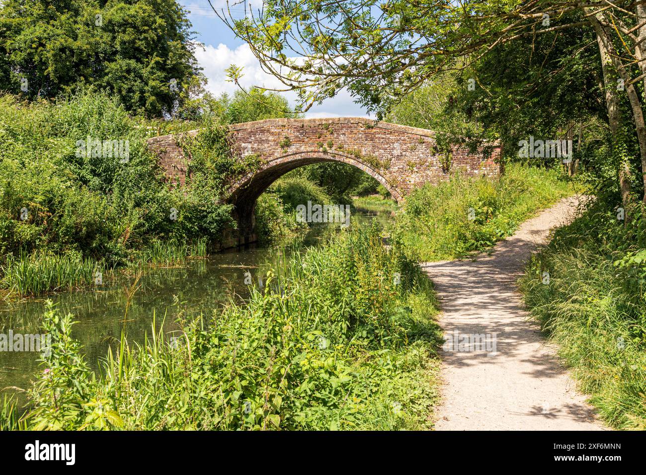 Stanton's Bridge vicino a Bowbridge sopra la Stroudwater Navigation nelle Stroud Valleys, Gloucestershire, Inghilterra Regno Unito Foto Stock