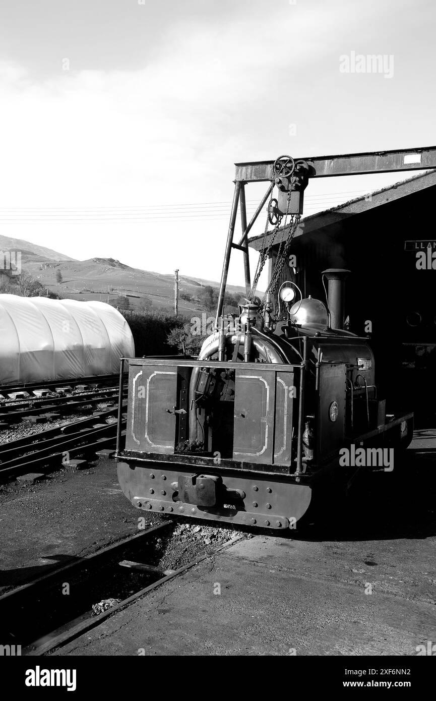 'Winifred' sul capannone a Llanuwchllyn. Foto Stock