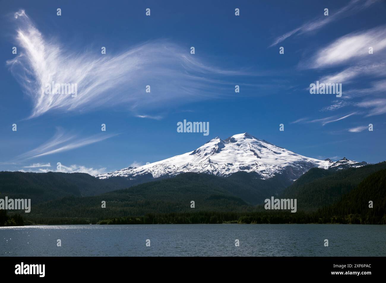 WA24953-00-....WASHINGTON - Lago Baker con Monte Baker in lontananza, Noisy Creek Campsite, Baker Lake Trail, Mount Baker Snoqualmie National Fores Foto Stock