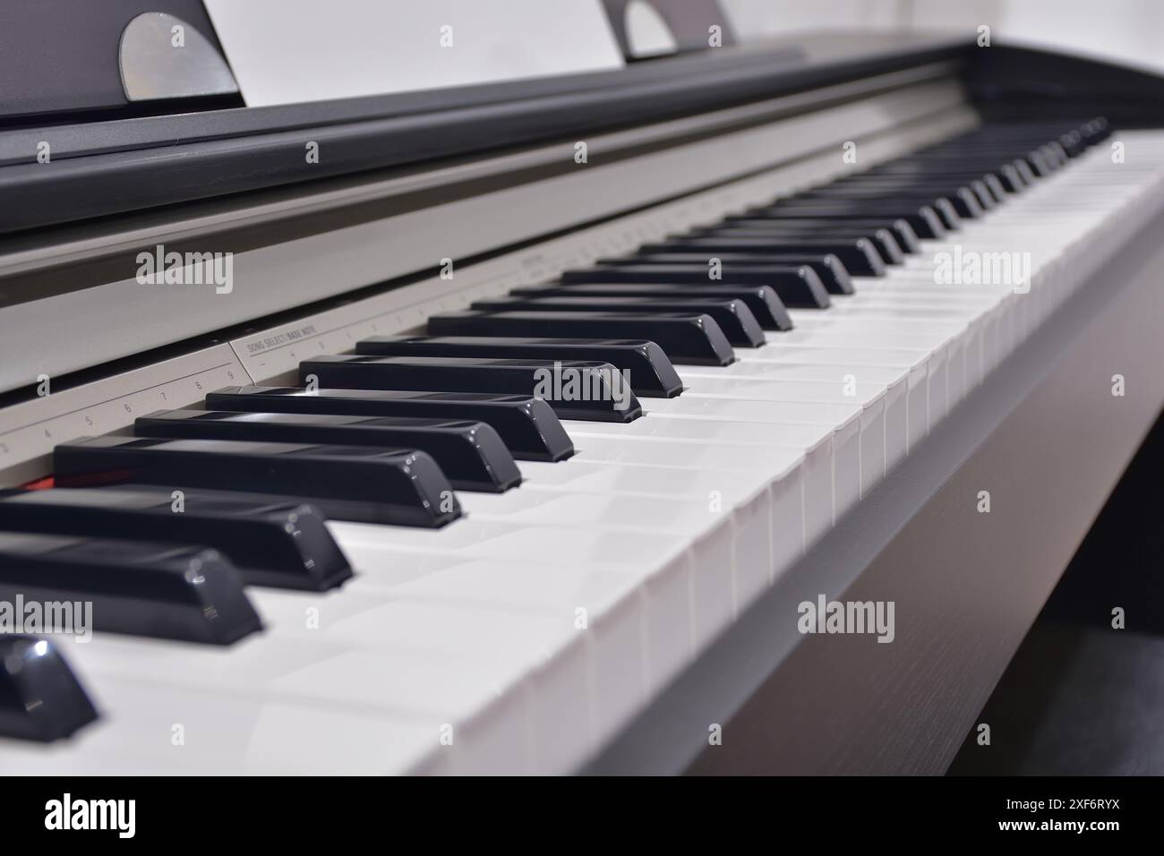 Vista laterale della tastiera piano. Strumento musicale. Tasti per pianoforte in bianco e nero Foto Stock