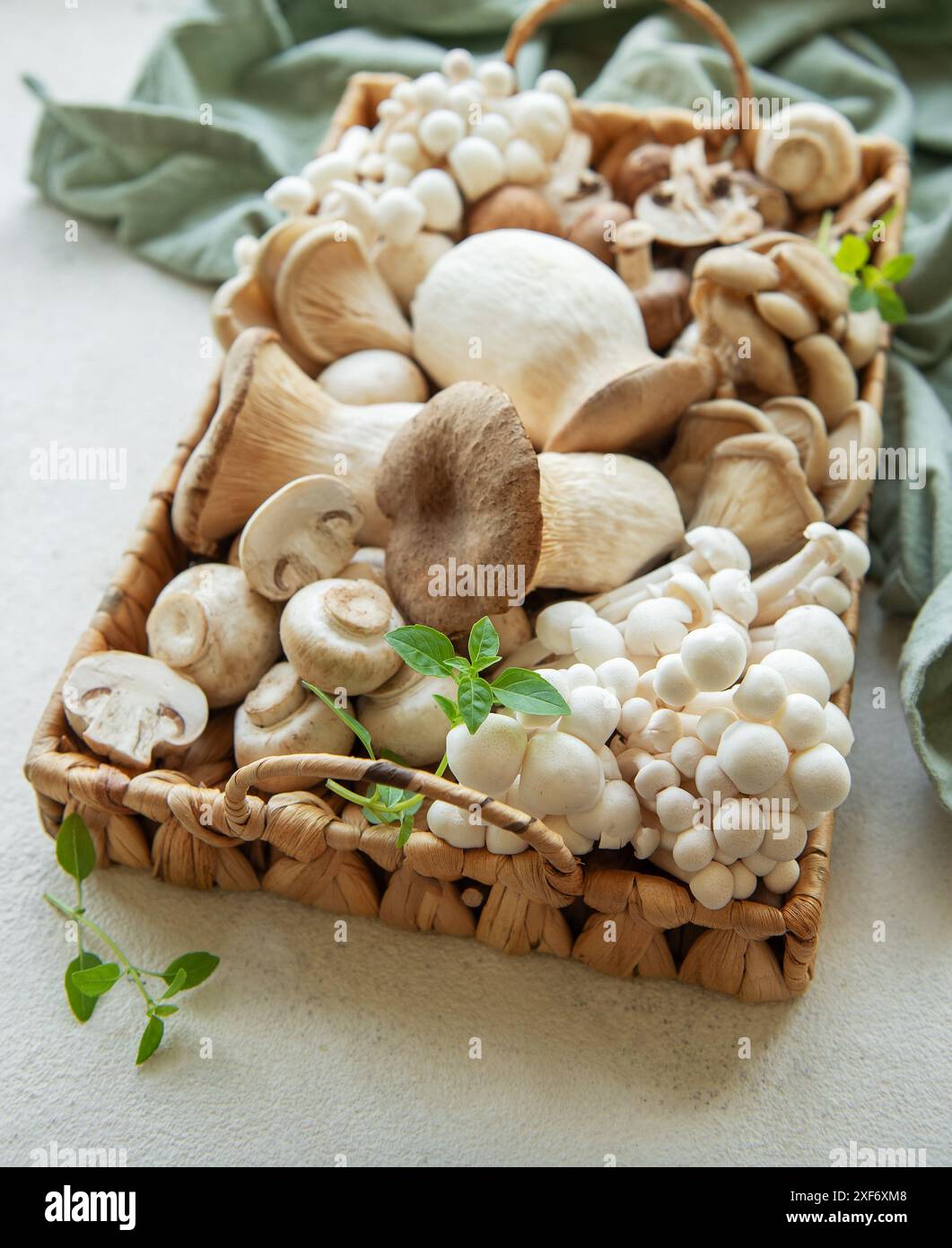 Assortimento di vari funghi grezzi su fondo in cemento grigio Foto Stock