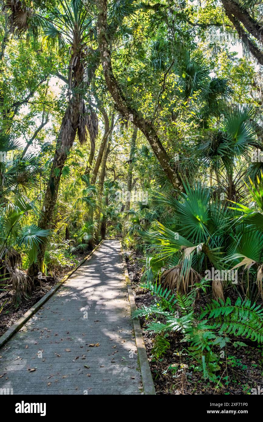 Passerella attraverso la riserva naturale Enchanted Forest, Titusville, Florida. Foto Stock