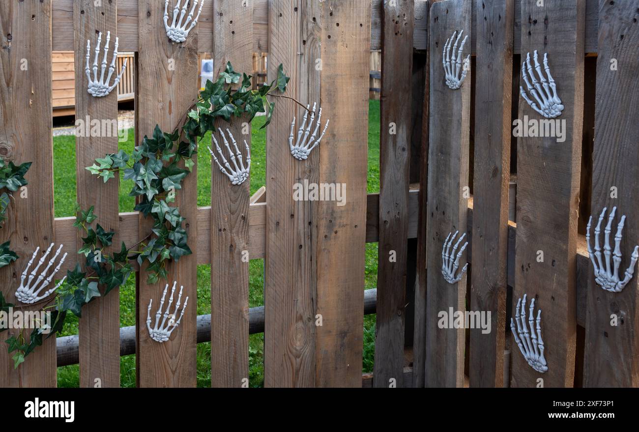 Decorazione di Halloween con mani di scheletro su recinzione in legno. Foto Stock