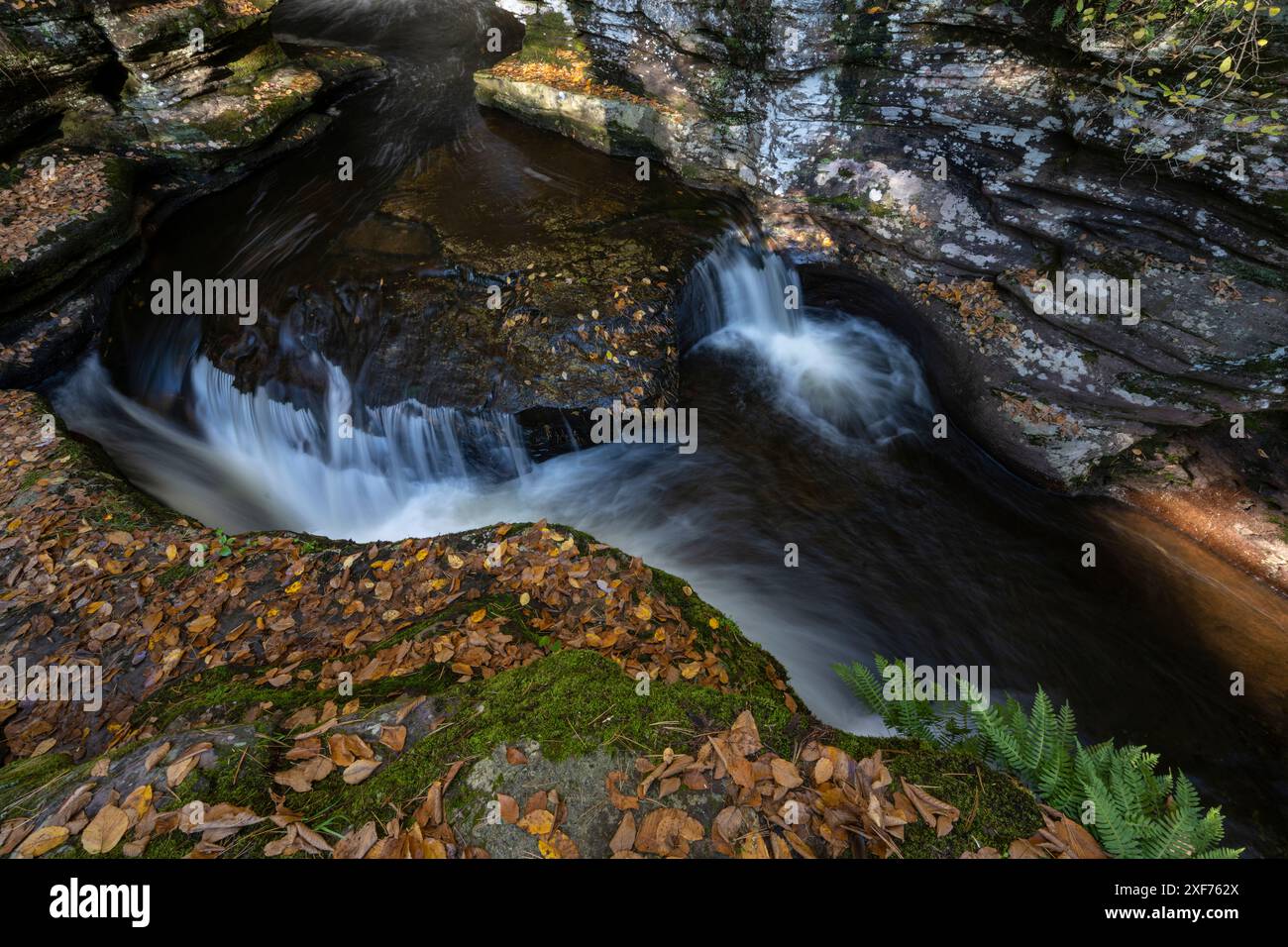 Stati Uniti, Pennsylvania. Ricketts Glen State Park, Adams Falls è una delle 22 cascate di questo parco. Foto Stock