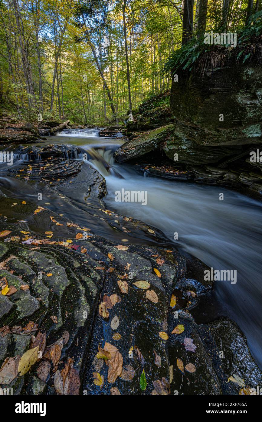 Stati Uniti, Pennsylvania. Ricketts Glen State Park, Fallen parte lungo creek. Foto Stock