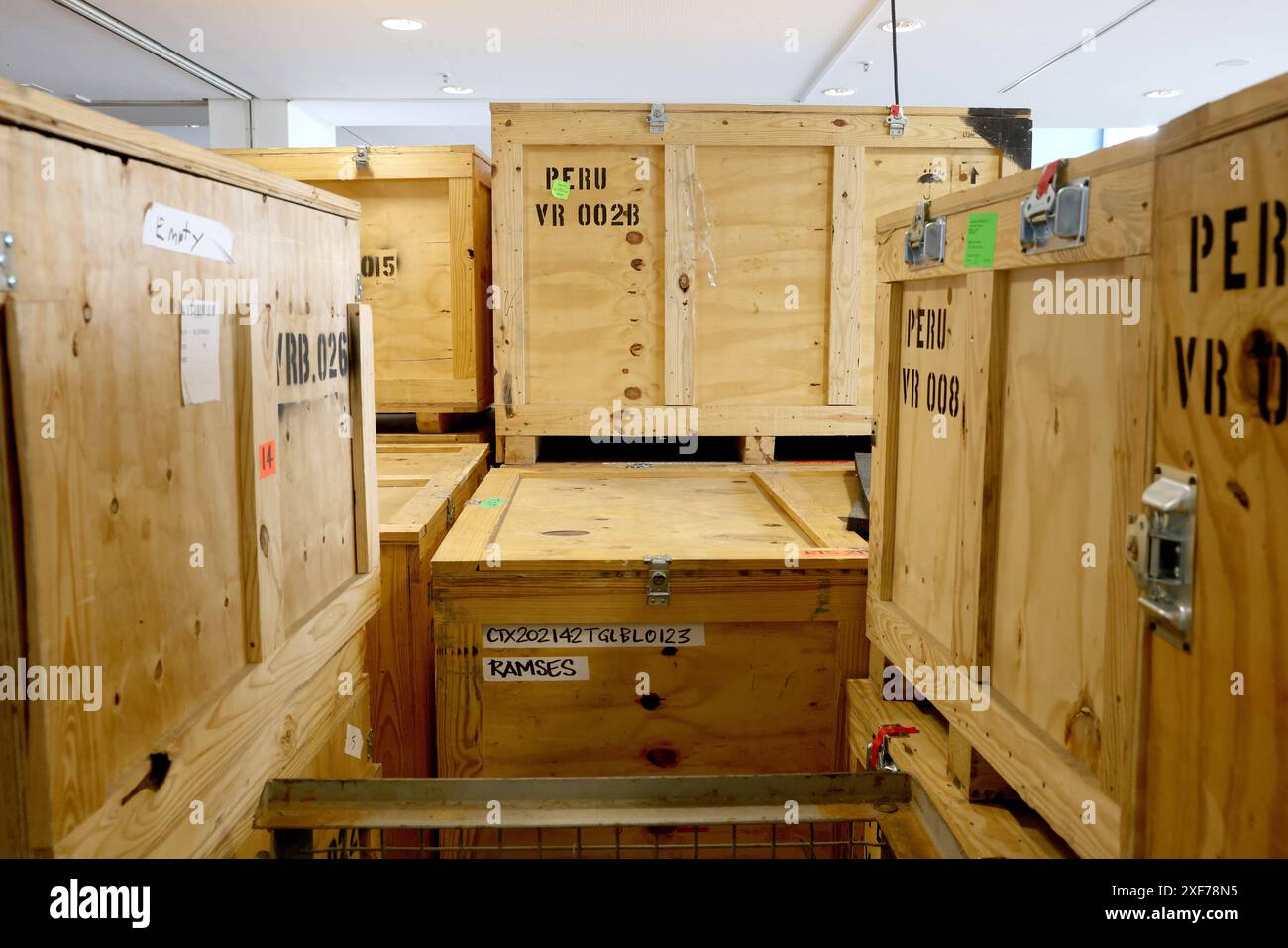 01.07.2024 Köln Odysseum Unboxing Ramses II Ramses & das Gold der Pharaonen die einzige Ramses-Originalausstellung mit über 180 Artefakten *** 01 07 2024 Colonia Odysseum Unboxing Ramses II Ramses Ramses l'oro dei faraoni l'unica mostra originale Ramses con oltre 180 manufatti Foto Stock