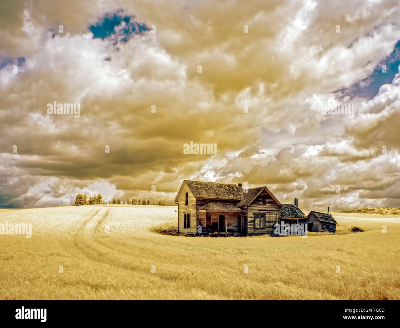 Stati Uniti, Stato di Washington, Palouse. Infrarossi di una vecchia fattoria. Foto Stock