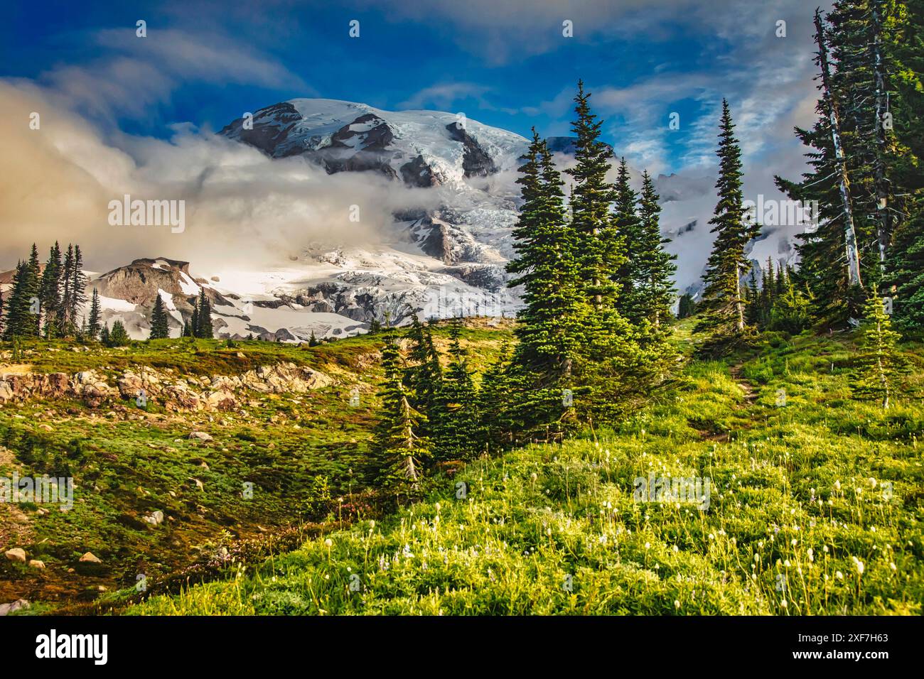 MT. Rainier all'interno del parco nazionale Foto Stock