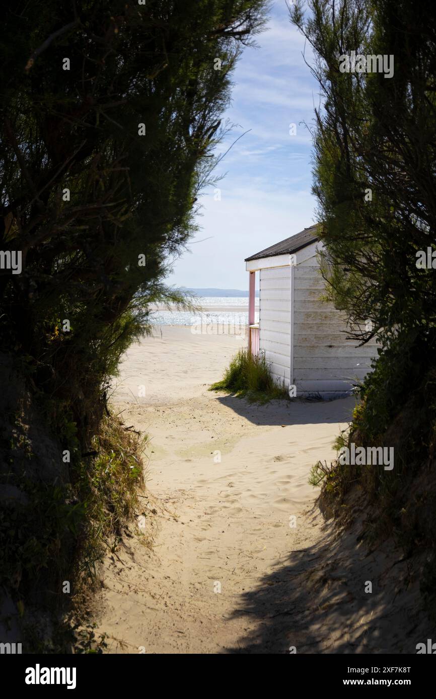 Sentiero per la capanna su Sandy Beach Foto Stock