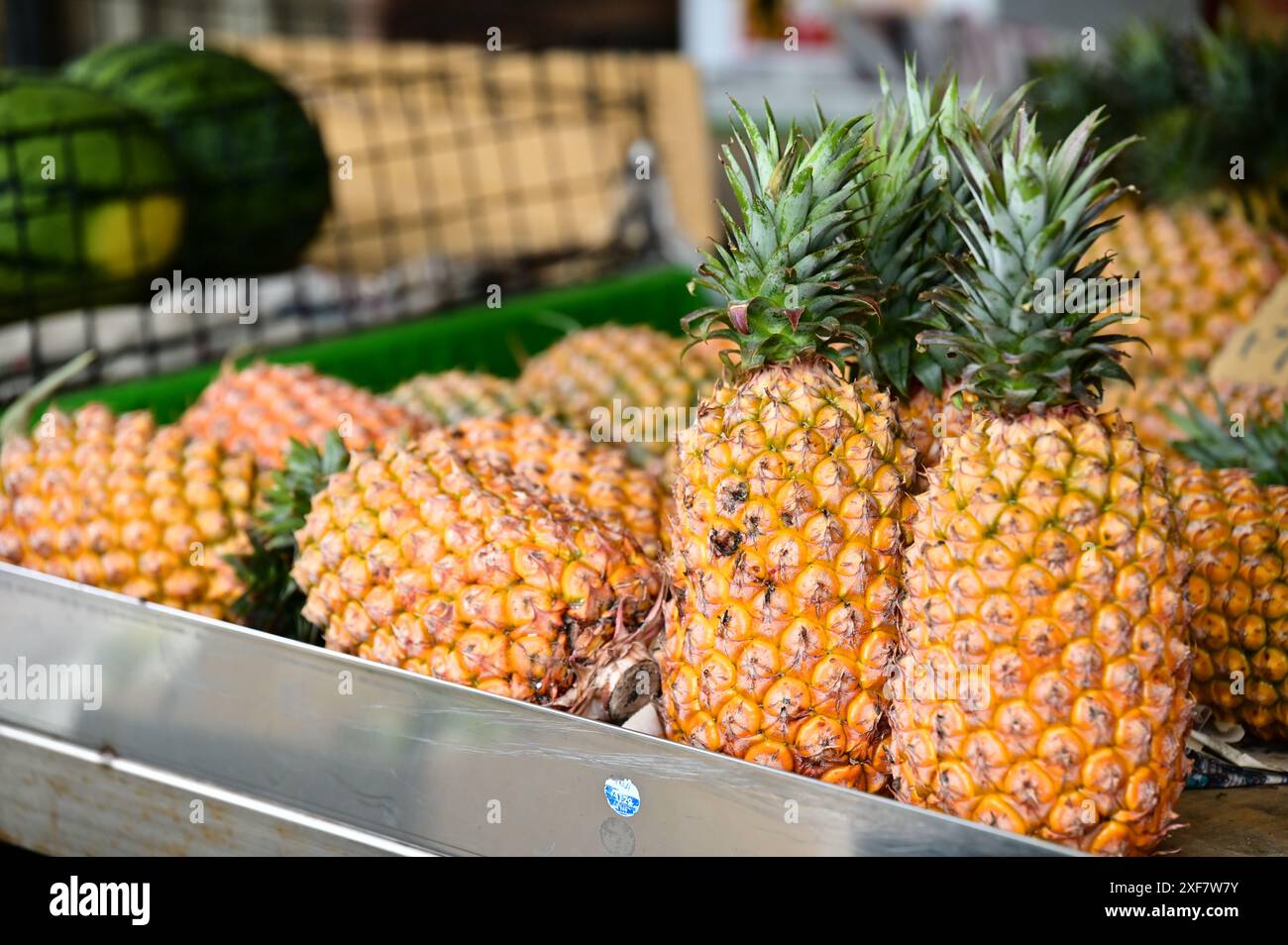 Gli ananas di Taiwan, vitali per l'economia, sono apprezzati per la loro succosa dolcezza e il ricco valore nutrizionale. Elevato contenuto di vitamine, fibre e minerali. Foto Stock